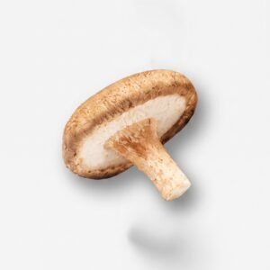 MSS Shiitake Grow Kit